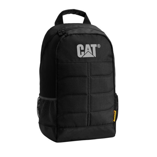 CAT83241.01